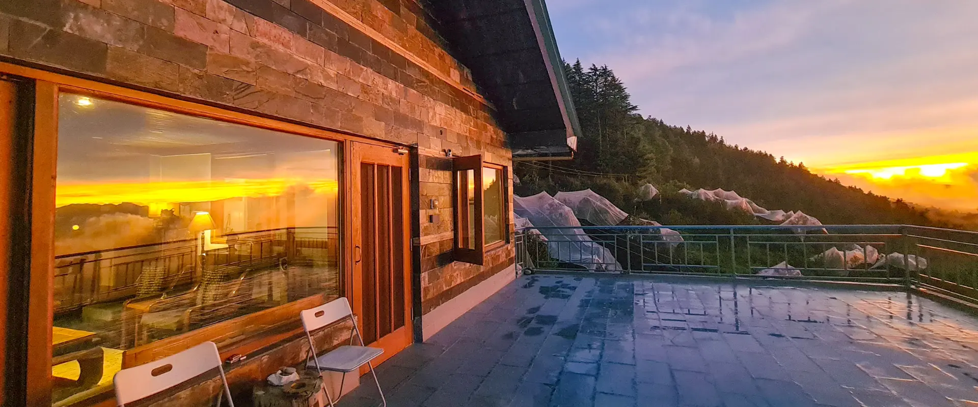 A homestay wrapped in orchards